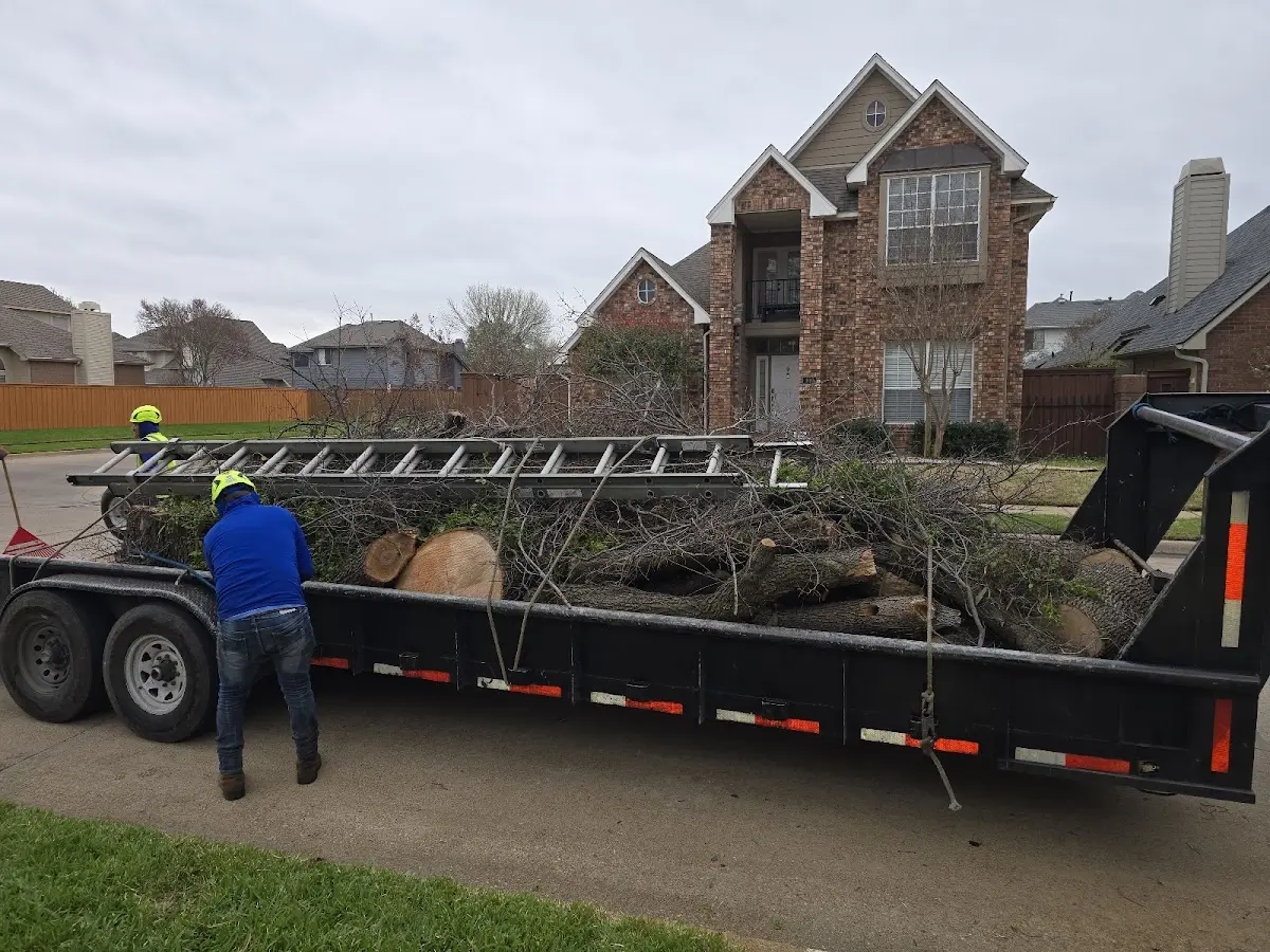 Expert Tree Pest Control with proper safety equipment in New Rochelle